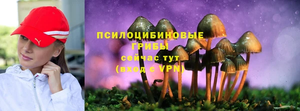 гидропоника Аркадак