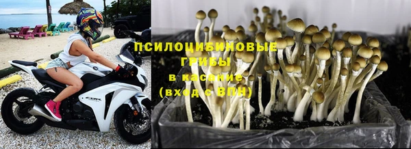 гашиш Арсеньев