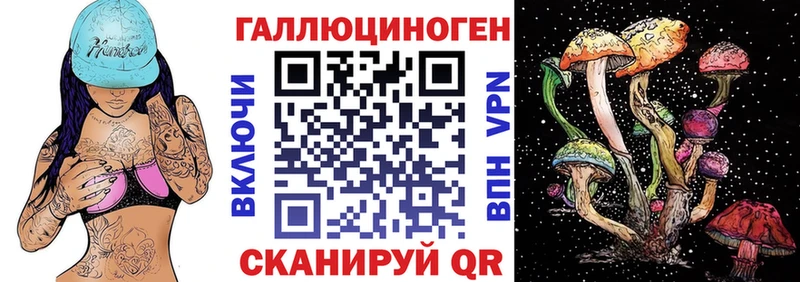 Псилоцибиновые грибы Psilocybe  даркнет сайт  Нестеров 