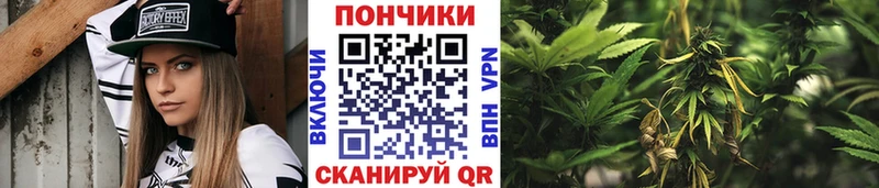 как найти   mega зеркало  darknet состав  Нестеров  Бошки Шишки семена 